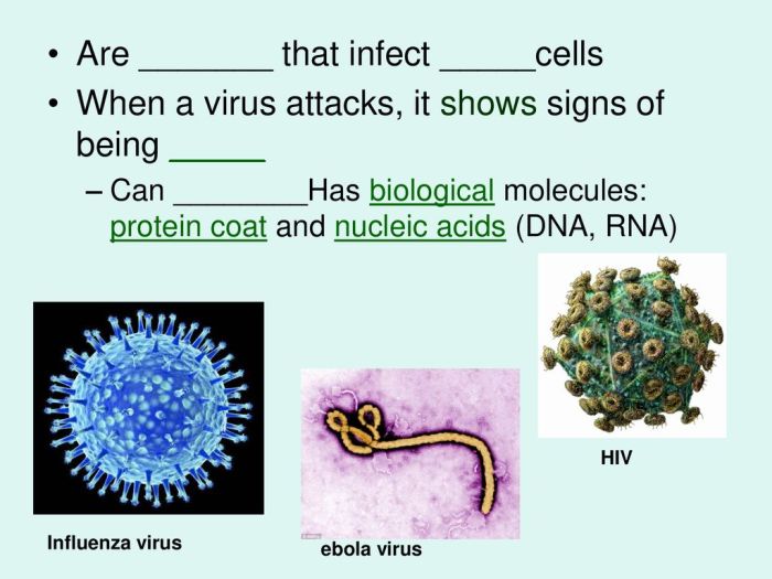 Mengapa virus dikatakan bersifat aseluler