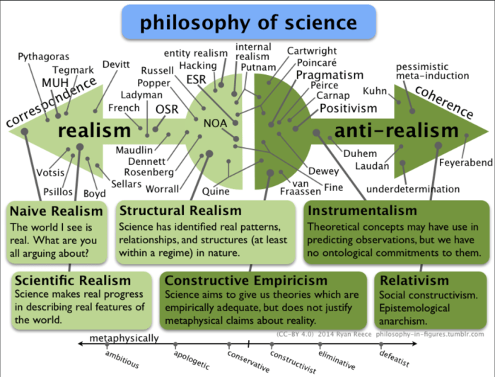 History why study important we our ppt