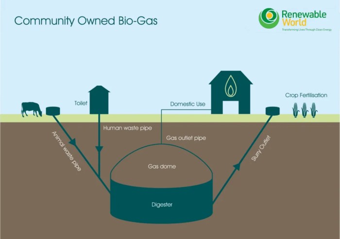 Kemukakan alasan biogas dimasukkan ke dalam produk bioteknologi