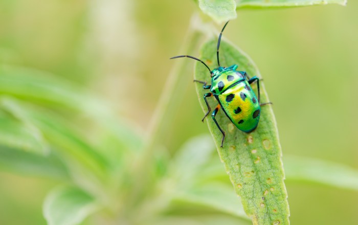 Mengapa kita harus mempelajari biologi