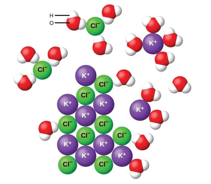 Strong weak electrolytes electrolyte electricity good ions produce