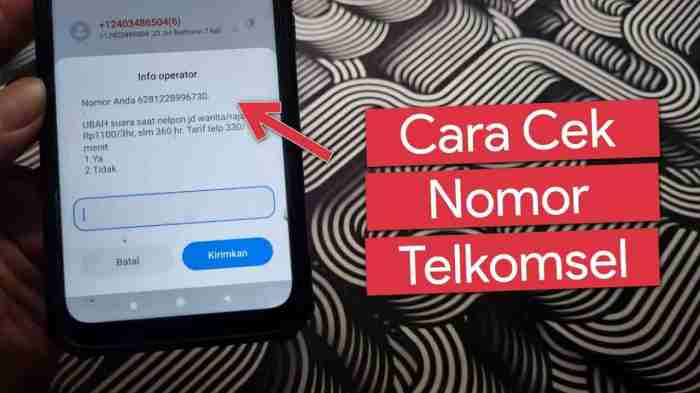 Kenapa tidak bisa cek pulsa telkomsel