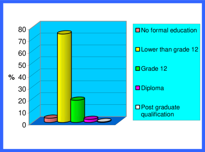 Educational qualifications qualification cv