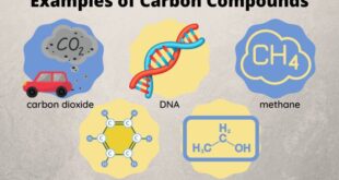 Carbon compound