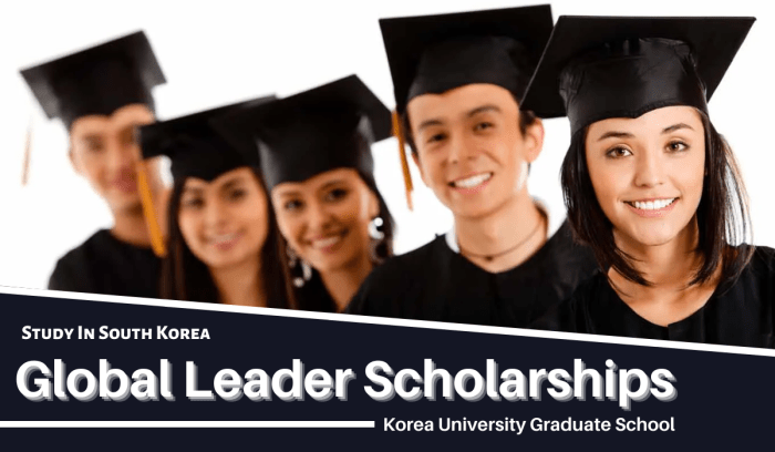 Universitas korea yang menyediakan beasiswa full