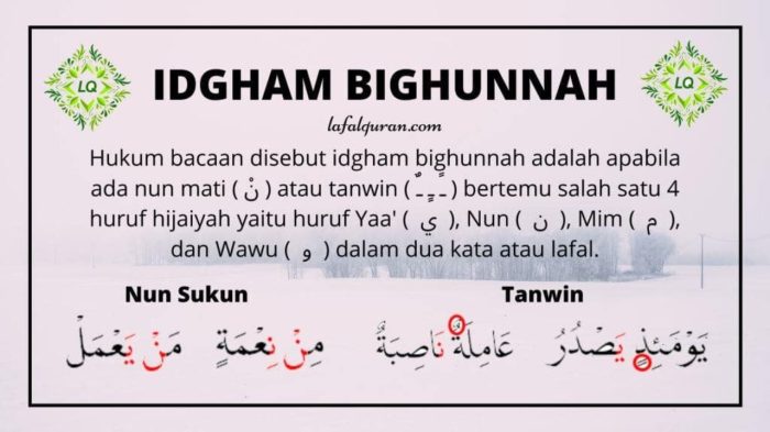 Apa yang dimaksud dengan idgham bighunnah