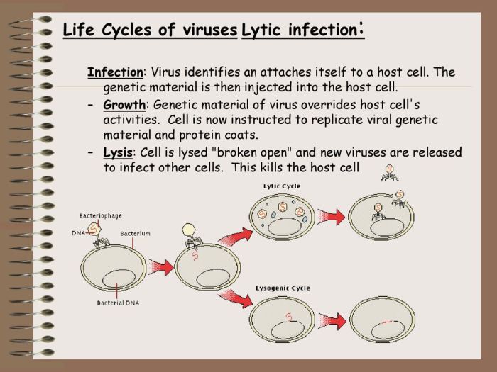 Mengapa virus dikatakan bersifat aseluler