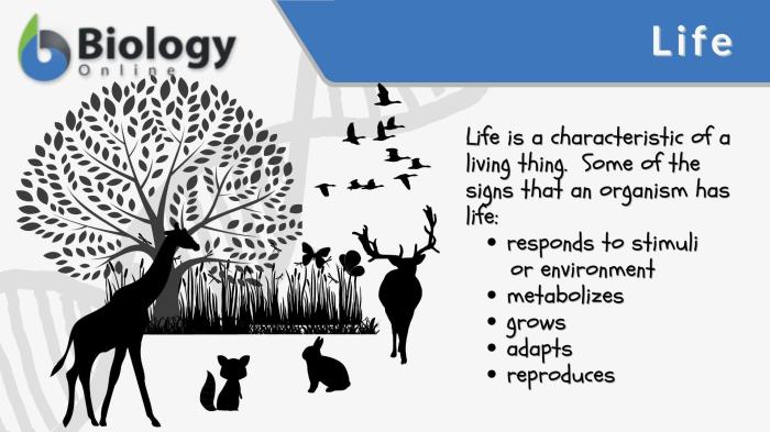 Mengapa biologi disebut sebagai ilmu pengetahuan