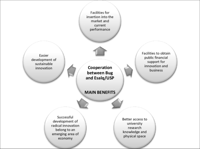 Cooperative approach vygotsky dream objectives roles