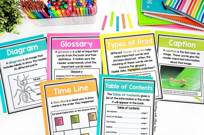 Text nonfiction writing features anchor fiction non grade texts informational charts activities great reading visual chart feature examples expository information