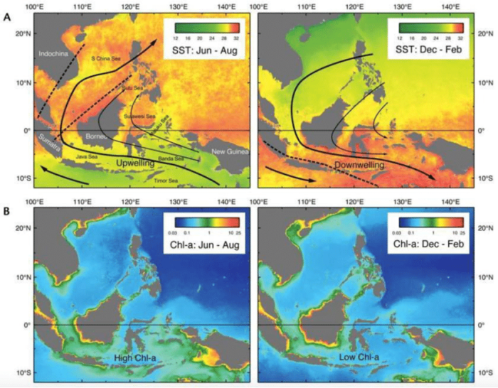 Indonesia floods jakarta monsoon evacuate flood 2021 forcing indonesian capital hit rains affected elderly volunteers inflatable heavy boat following area