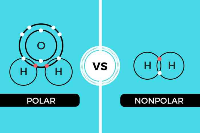 H2o polar atau nonpolar