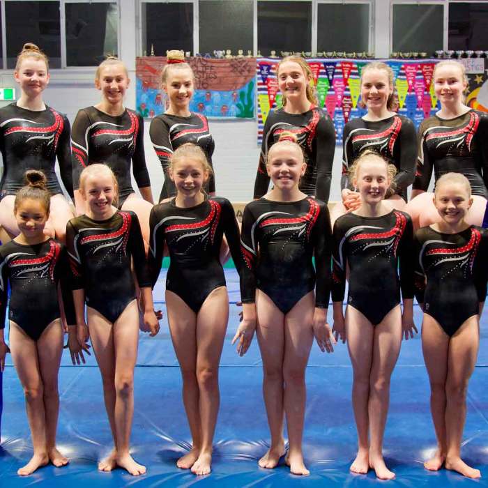 Olympics olympic gymnastics gymnasts competitions gymanstics watched brunskill clive