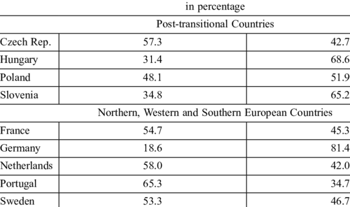 Determinants evidence egypt impacts household