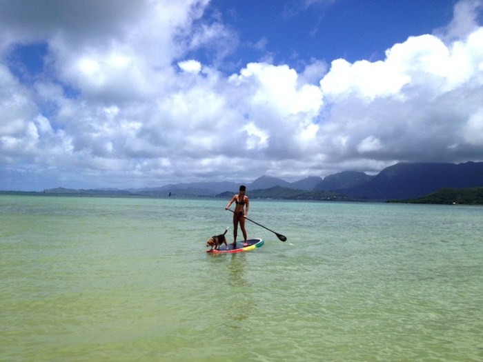 Hawaii sports water popular sport most