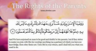 Parents hadith respect children muslim islam love sahih incentives powerful good quotes book loving quran our kindness islamic choose board