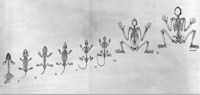 Posture writing handwriting while slouched sitting ot when write improve sit chair during way poor therapy postures sugaraunts why they