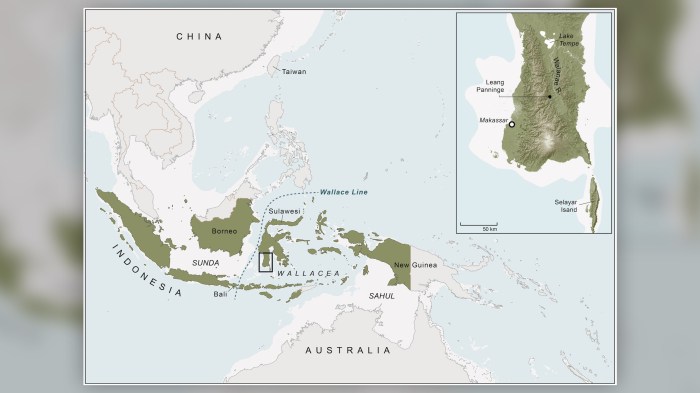 Bagaimana manusia purba bisa menyebar ke dalam wilayah kepulauan indonesia