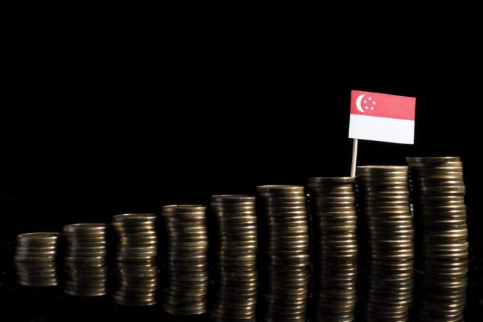 Jelaskan mengapa singapura lebih berfokus pada perdagangan dan industri