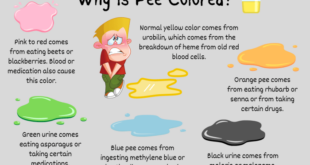 Color pee urine what colour health poo says out light colored check theconversation there bowel healthy can colours movement chart