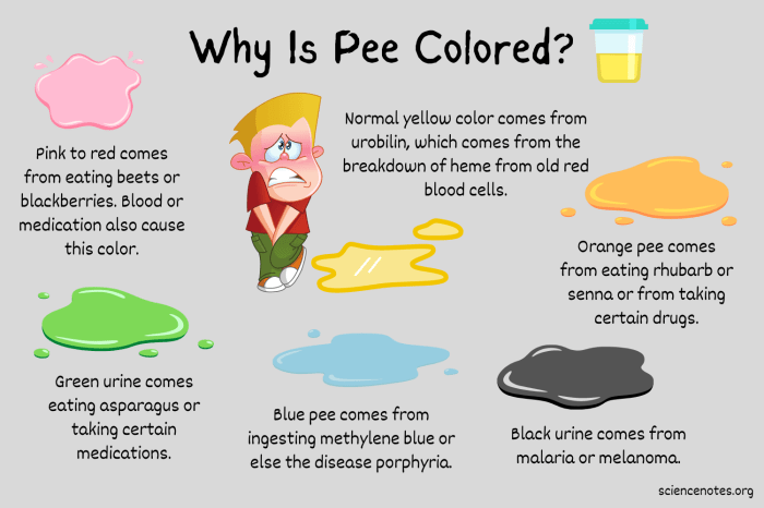 Color pee urine what colour health poo says out light colored check theconversation there bowel healthy can colours movement chart