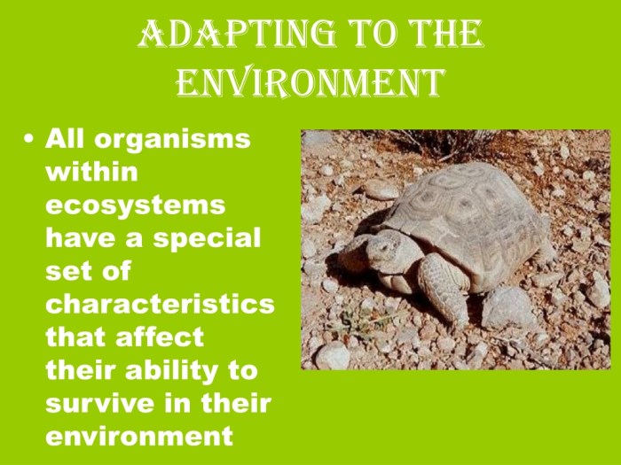 Adapt environment animals la