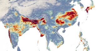 India monsoon rains indian turns deadly record mumbai climbs toll breach dam western death yahoo season arabian sea heavy july