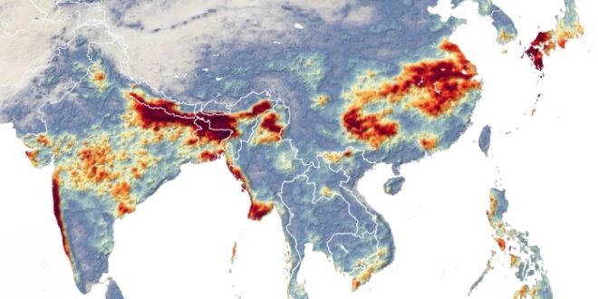 India monsoon rains indian turns deadly record mumbai climbs toll breach dam western death yahoo season arabian sea heavy july