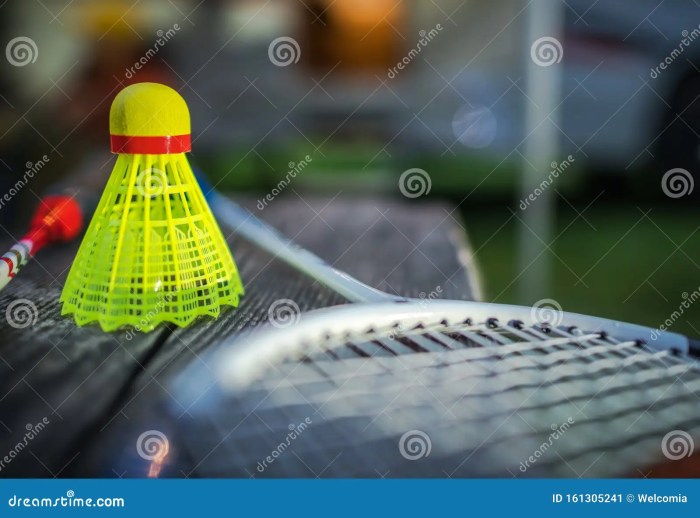 Badminton