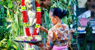 Culture chasing happytowander indigenous traditions absorb indonesian