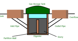 Kemukakan alasan biogas dimasukkan ke dalam produk bioteknologi