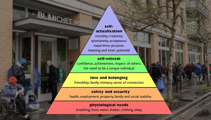 Needs human six certainty emotional hierarchy maslow family