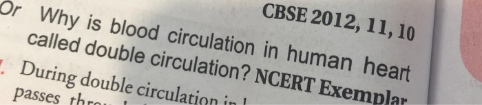 Circulation blood representation schematic cpr oxygen pulmonary systemic explain compressions dioxide processes infant beings lungs kindpng performing complete