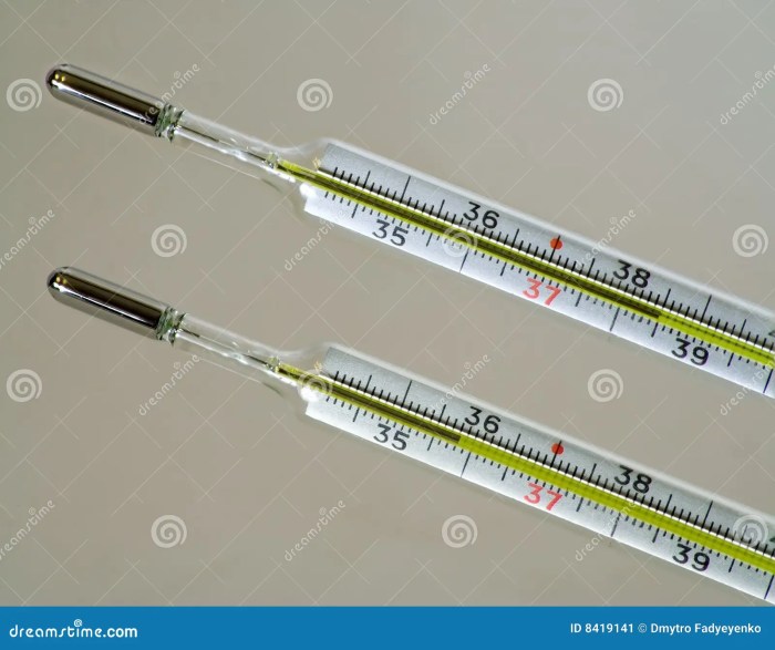 Termometer klinis adalah