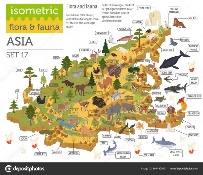 Flora dan fauna di benua asia