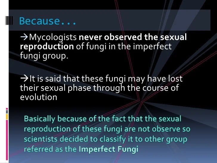 Mengapa deuteromycota disebut fungi imperfecti