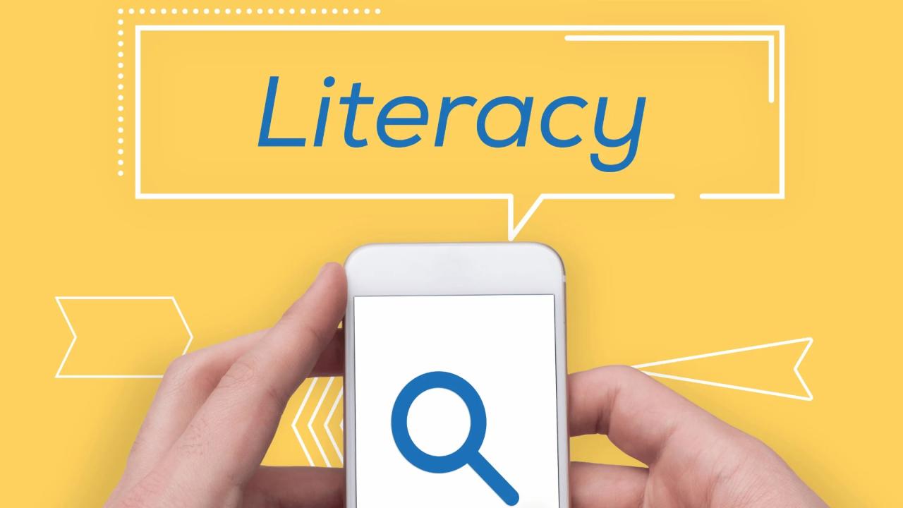 Literacy webwise