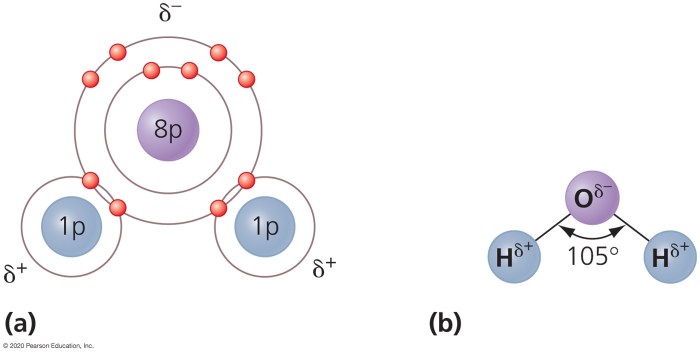 H2o polar atau nonpolar