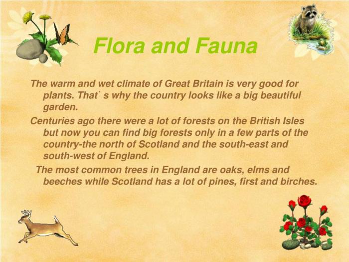 Flora dan fauna di inggris