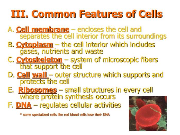 Smallest unit life study cells overview