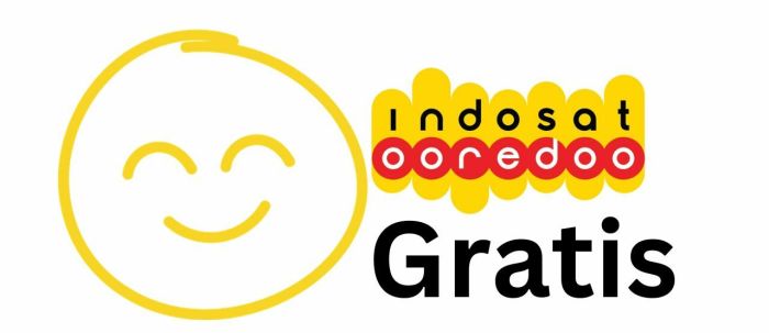 Kuota utama indosat tidak bisa digunakan