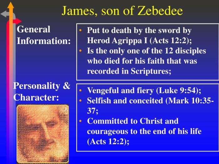 James zebedee son character apostle sheet design bible cartoons