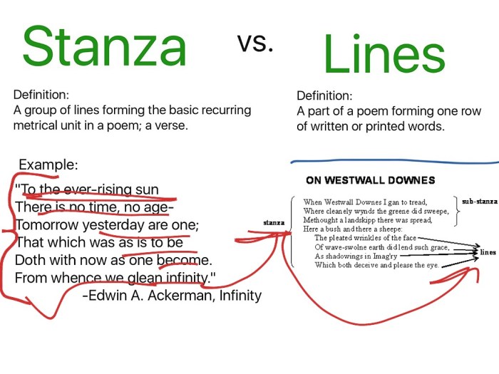 Stanza poem poetry poems example couplet lines stanzas april 17th homework what definition like break olia nguyen center two 2012