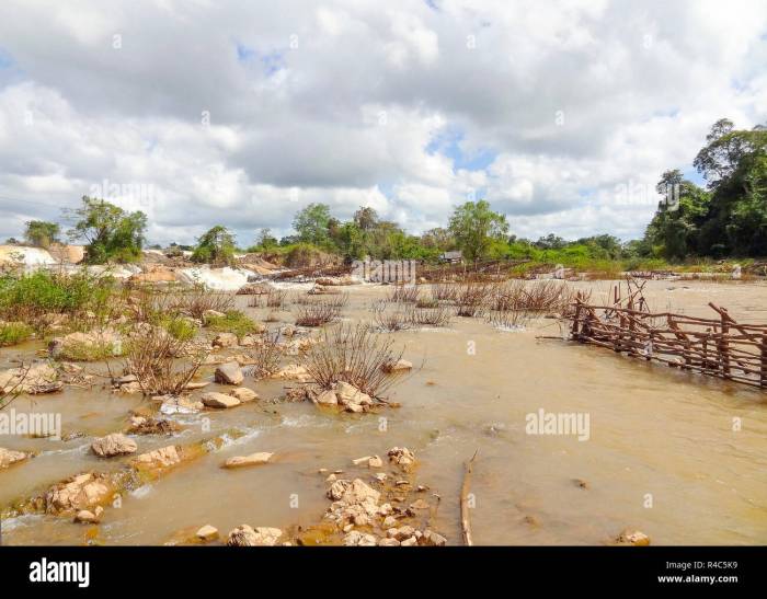 Apa peran sungai mekong bagi negara laos