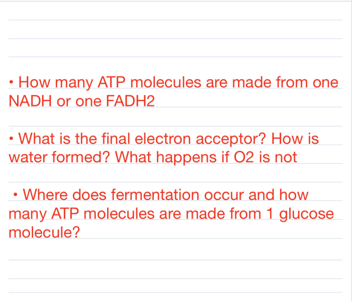 Atp number calculate generated solved problem transcribed text been show has