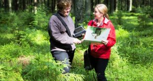 Mengapa usaha reboisasi hutan dapat mengurangi pemanasan global