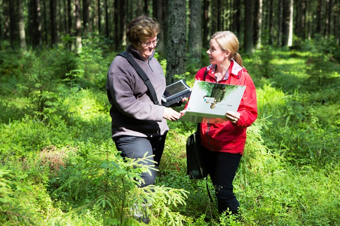 Mengapa usaha reboisasi hutan dapat mengurangi pemanasan global