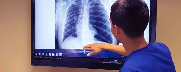 Program radiography florida options college mayo apply enrollment