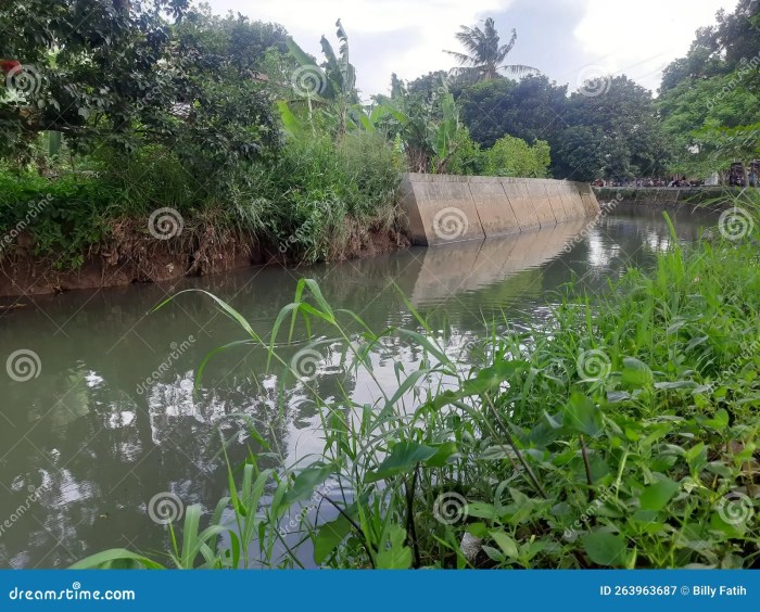 Tanaman yang biasa ditanam di bantaran sungai adalah