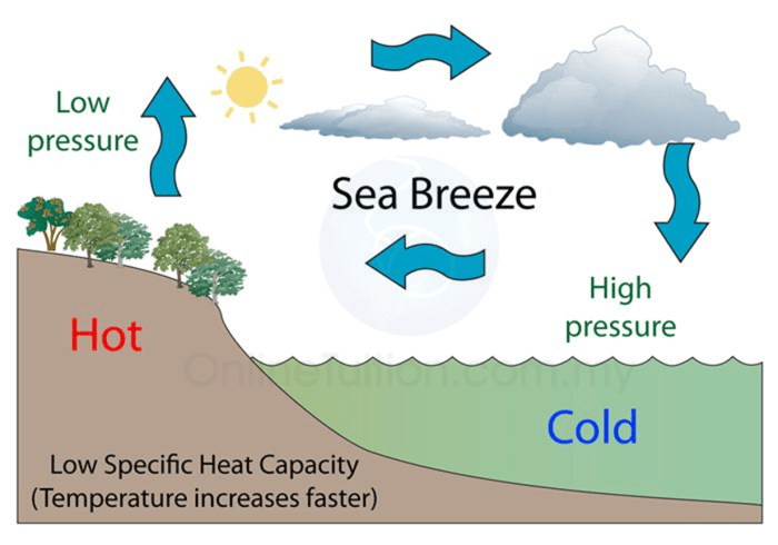 Angin laut terjadi pada siang hari karena